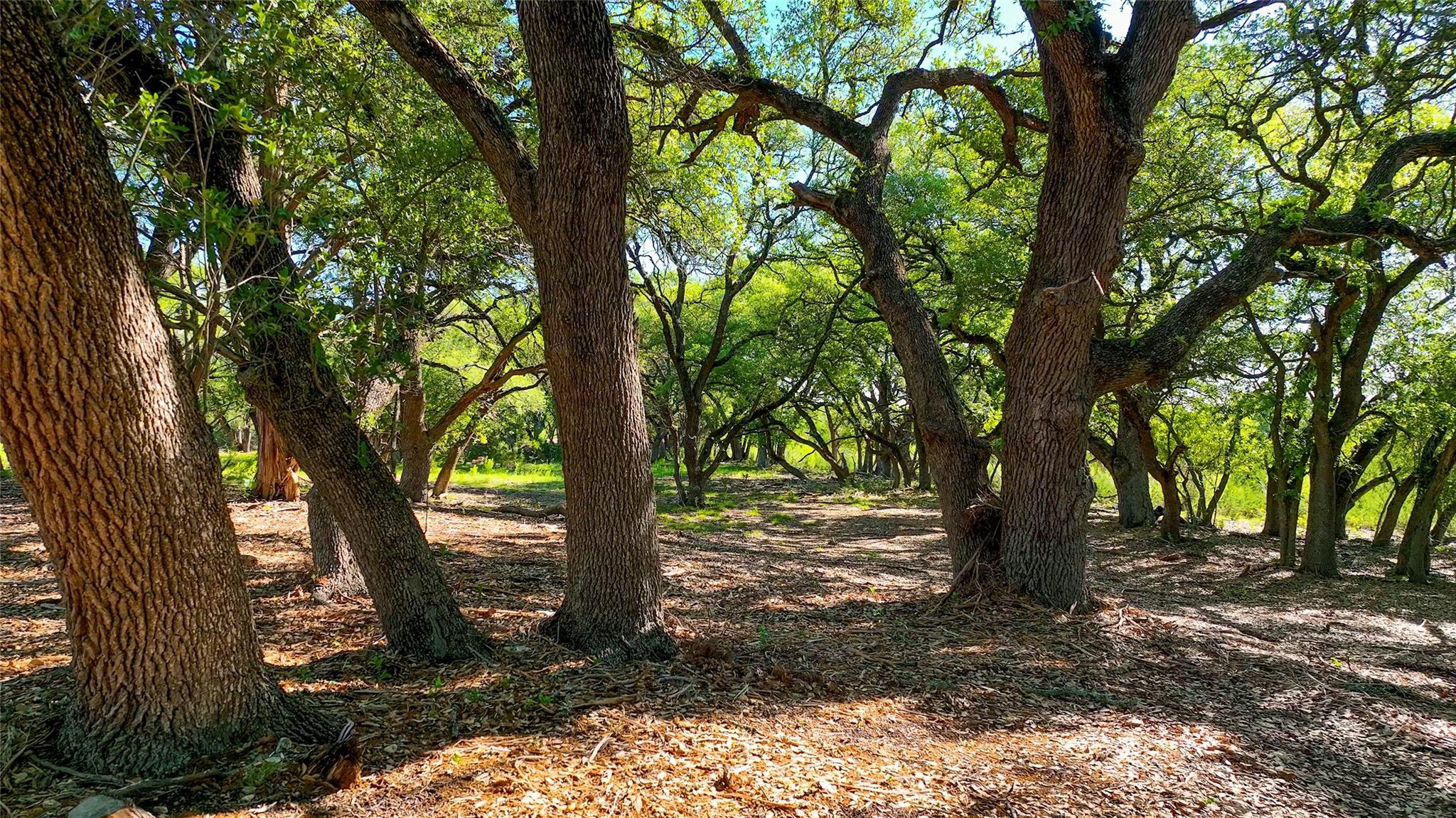 Tbd Cr108 Burnet TX 78611