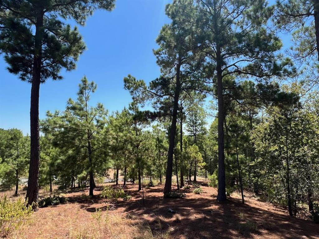 Lot 666 Honopupu Drive Bastrop TX 78602