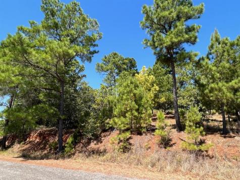 Lot 666 Honopupu Drive Bastrop TX 78602