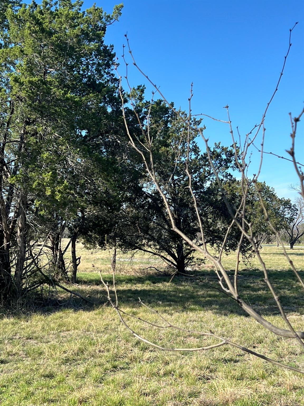 0 Cr 421 Road Spicewood TX 78669