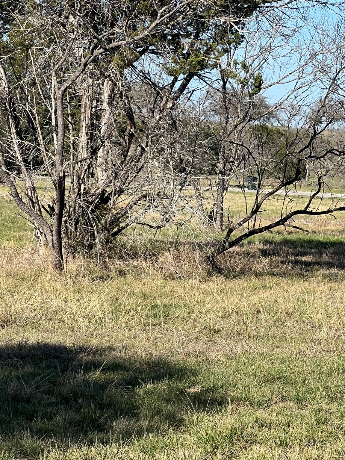 0 Cr 421 Road Spicewood TX 78669