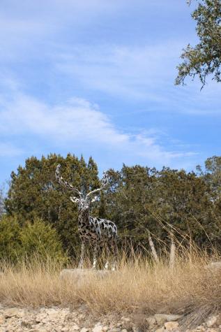 Lot 6 Gene Walker Trail Hunt TX 78024