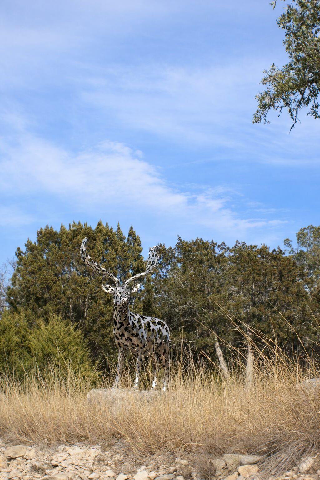 Lot 6 Gene Walker Trail Hunt TX 78024
