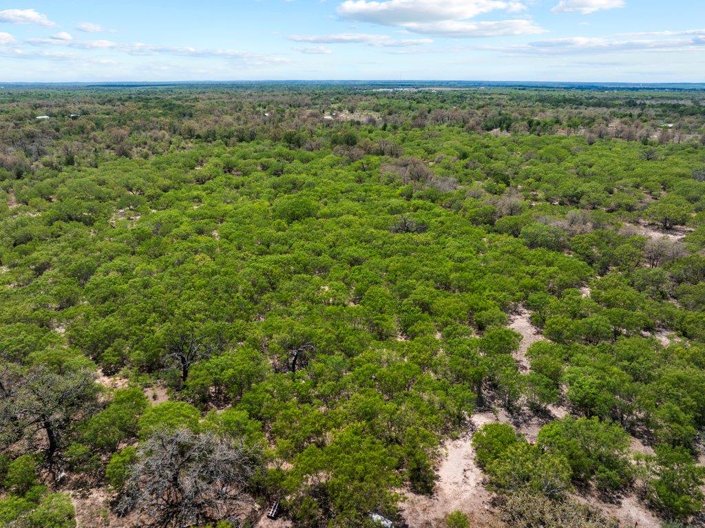 2124 Bugtussle Lane Luling TX 78648