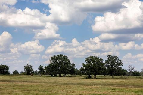 Tbd County Road 315 Lexington TX 78947