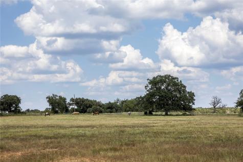 Tbd County Road 315 Lexington TX 78947