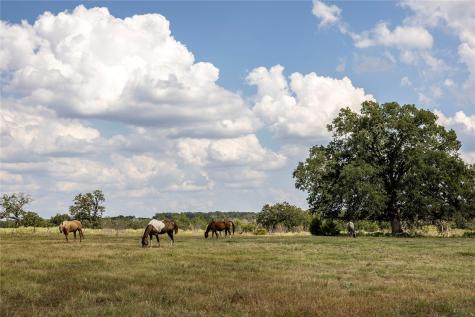 Tbd County Road 315 Lexington TX 78947