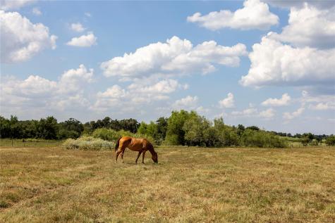Tbd County Road 315 Lexington TX 78947
