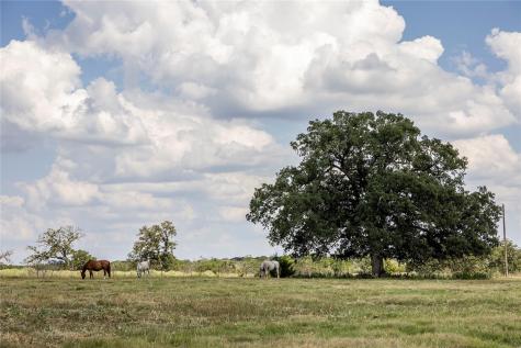 Tbd County Road 315 Lexington TX 78947