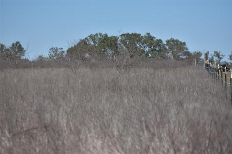 Track 24 Jackson Road Refugio TX 78377