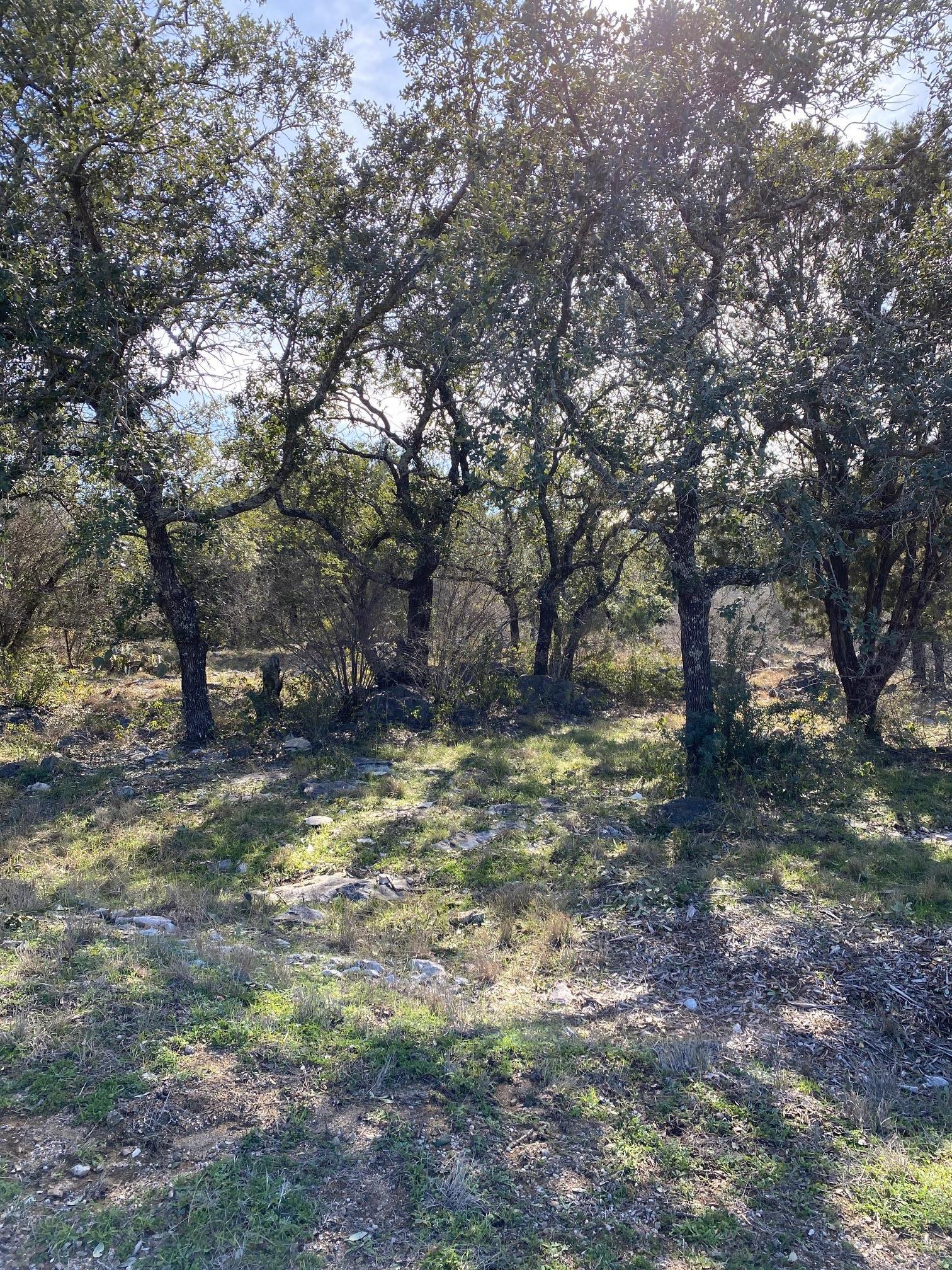Lt 45009 Scarlet Sun Horseshoe Bay TX 78657