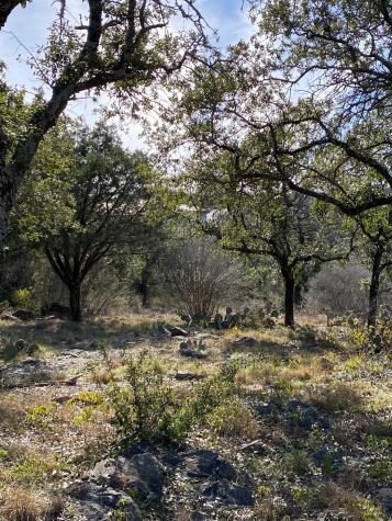 Lt 45009 Scarlet Sun Horseshoe Bay TX 78657