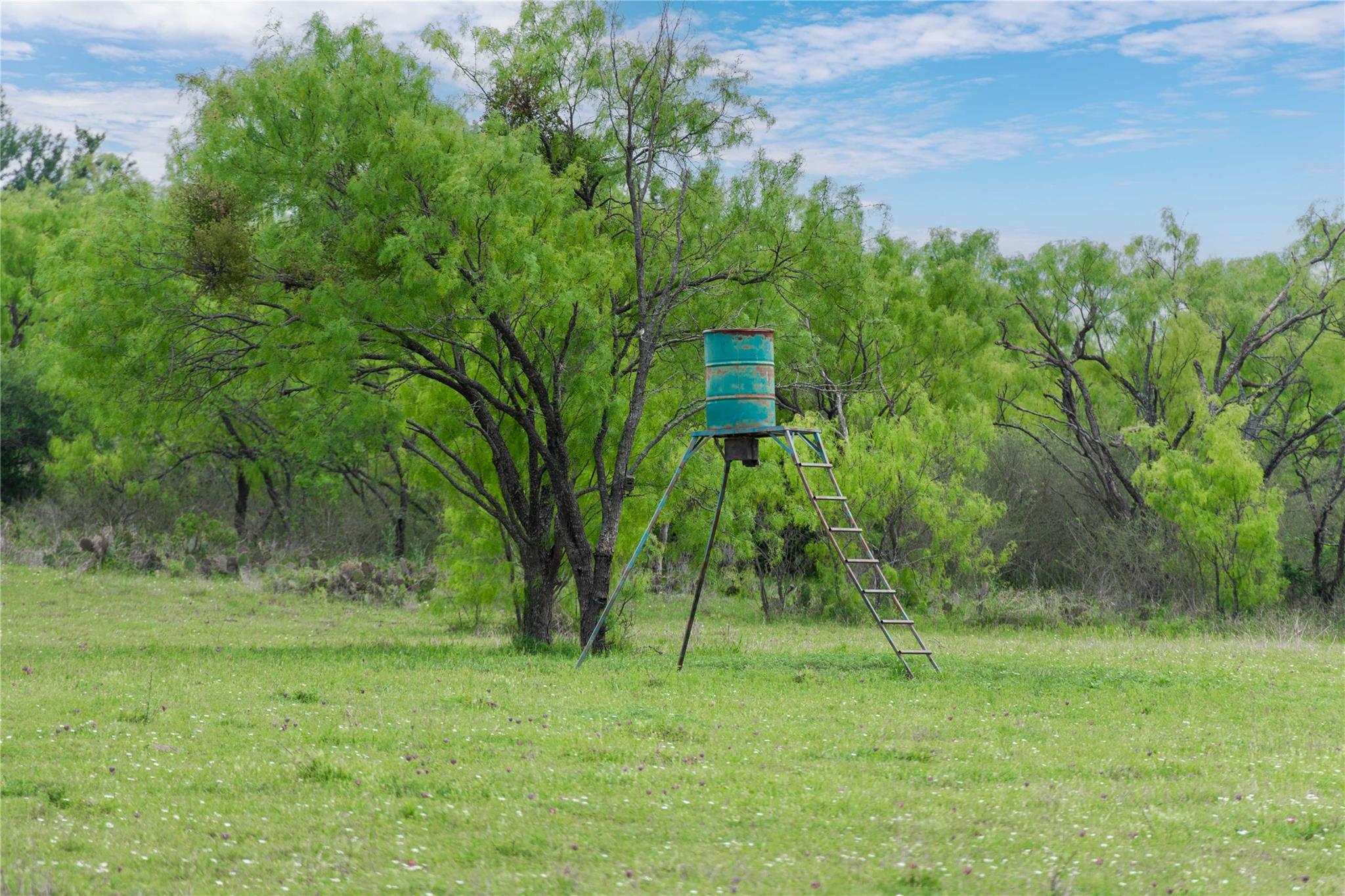 182 County Road 430 Road Mullin TX 76864
