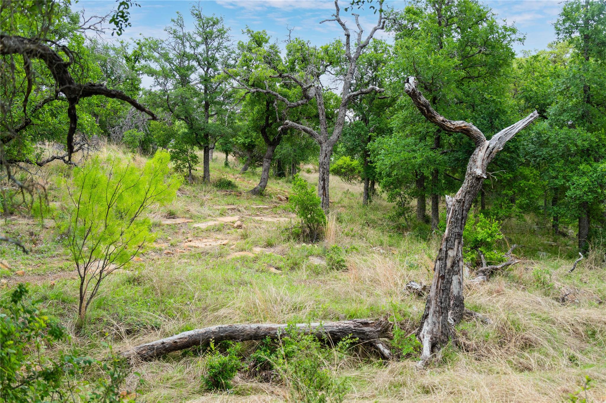 182 County Road 430 Road Mullin TX 76864