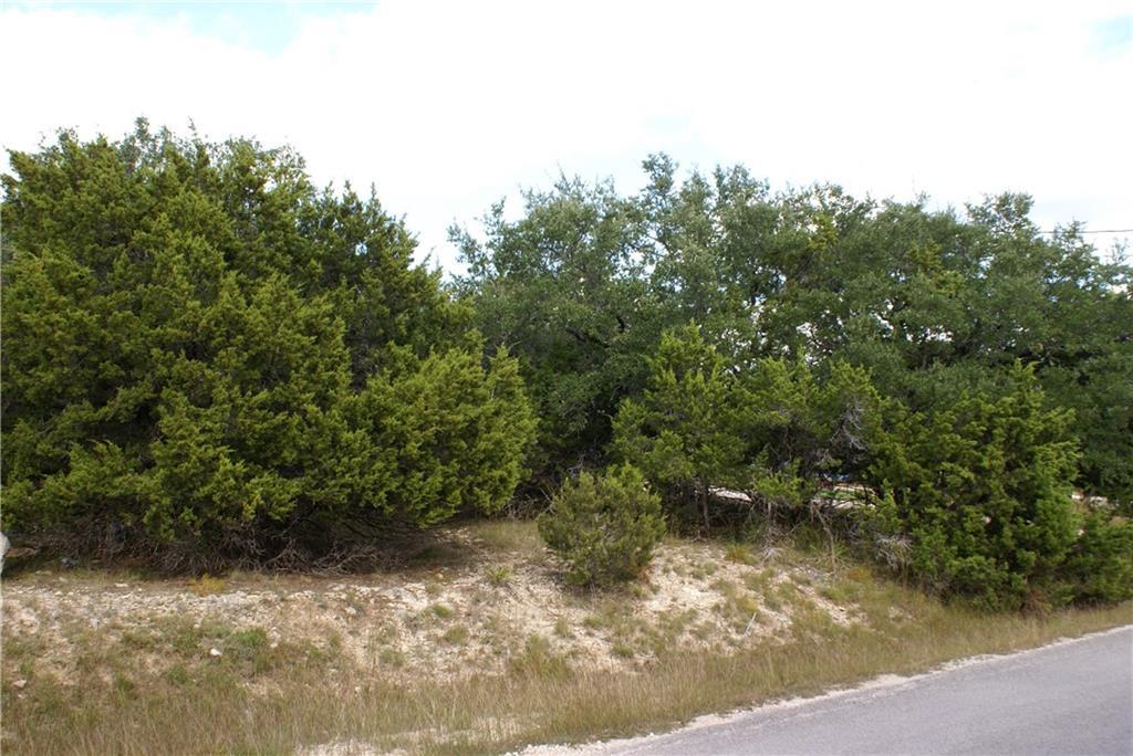 Lot 31 Panorama Drive Dripping Springs TX 78620