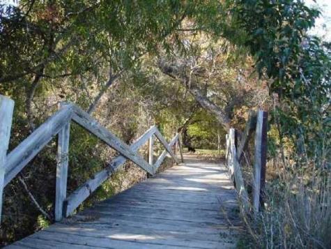 Lot 31 Panorama Drive Dripping Springs TX 78620