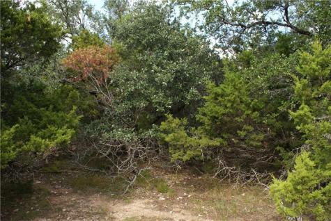 Lot 31 Panorama Drive Dripping Springs TX 78620