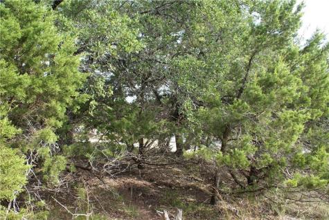Lot 31 Panorama Drive Dripping Springs TX 78620