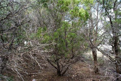 Lot 31 Panorama Drive Dripping Springs TX 78620
