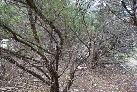 Lot 31 Panorama Drive Dripping Springs TX 78620