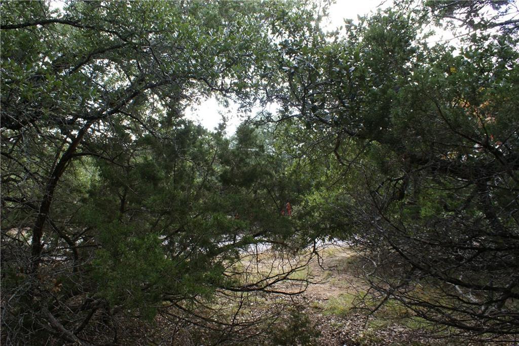 Lot 31 Panorama Drive Dripping Springs TX 78620