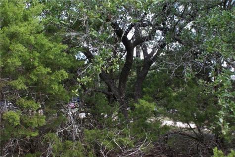 Lot 31 Panorama Drive Dripping Springs TX 78620
