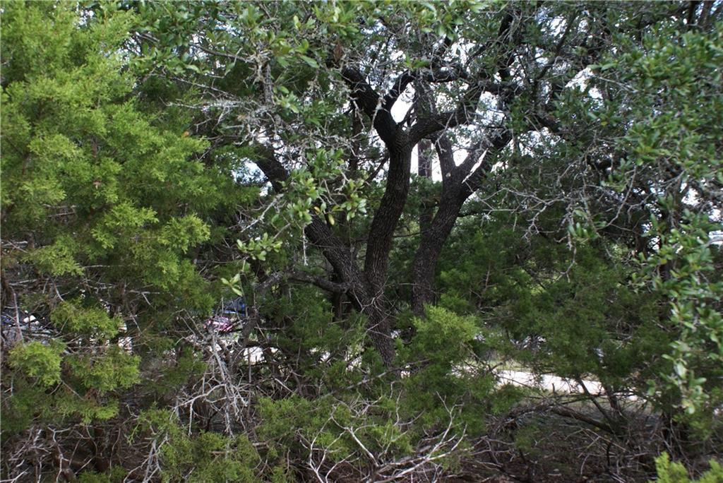 Lot 31 Panorama Drive Dripping Springs TX 78620