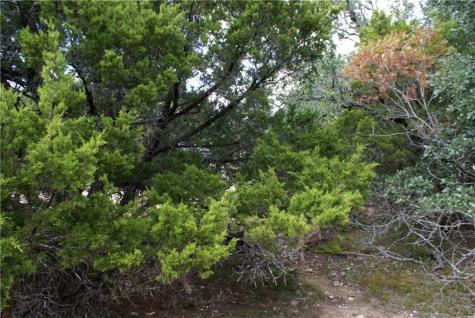 Lot 31 Panorama Drive Dripping Springs TX 78620