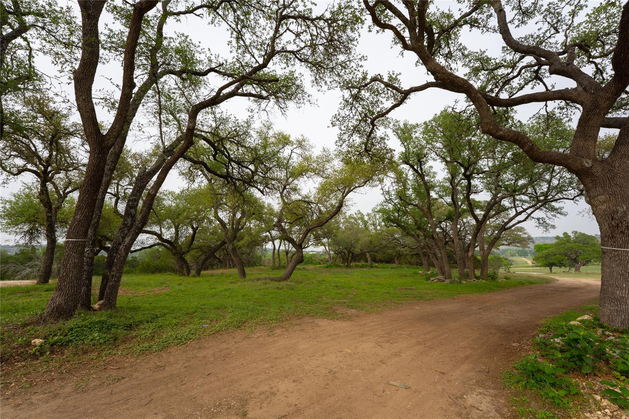 Lot 27 Ranch Road 165 Blanco TX 78606