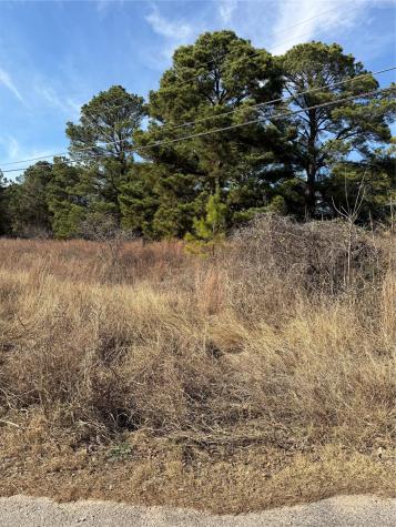 Lot 20 Indian Oak Drive Bastrop TX 78602