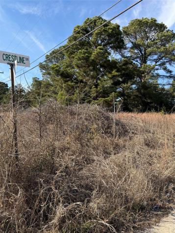 Lot 20 Indian Oak Drive Bastrop TX 78602
