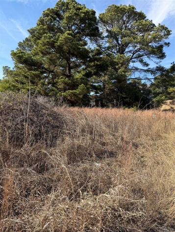 Lot 20 Indian Oak Drive Bastrop TX 78602