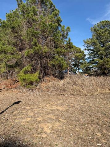 Lot 20 Indian Oak Drive Bastrop TX 78602