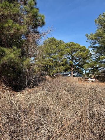 Lot 20 Indian Oak Drive Bastrop TX 78602