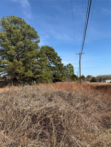 Lot 20 Indian Oak Drive Bastrop TX 78602
