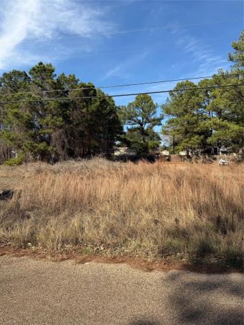 Lot 20 Indian Oak Drive Bastrop TX 78602