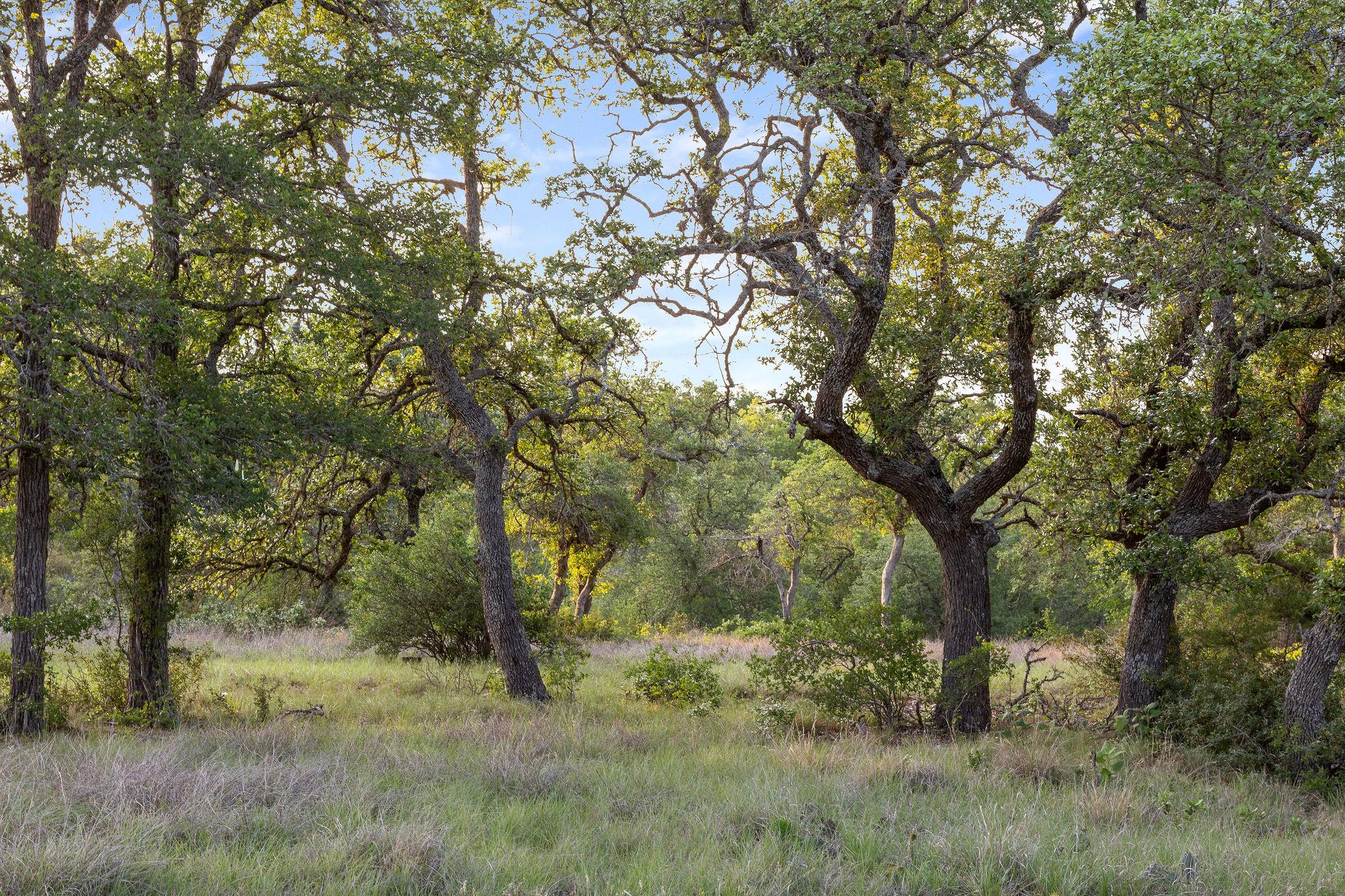 103-205 Mount Gainor Road Dripping Springs TX 78620