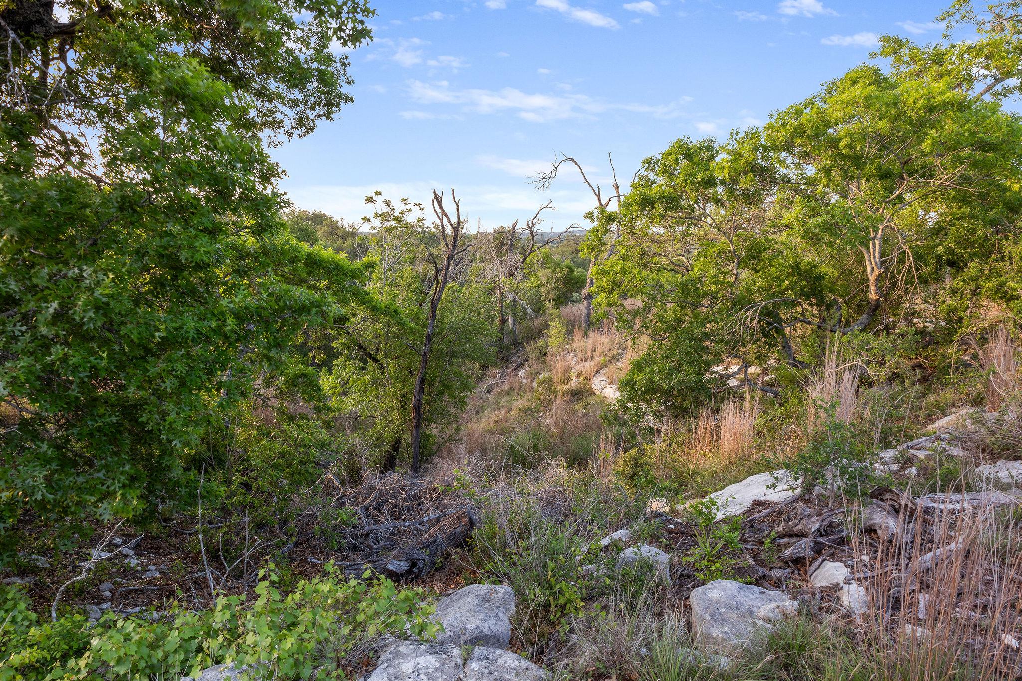 103-205 Mount Gainor Road Dripping Springs TX 78620
