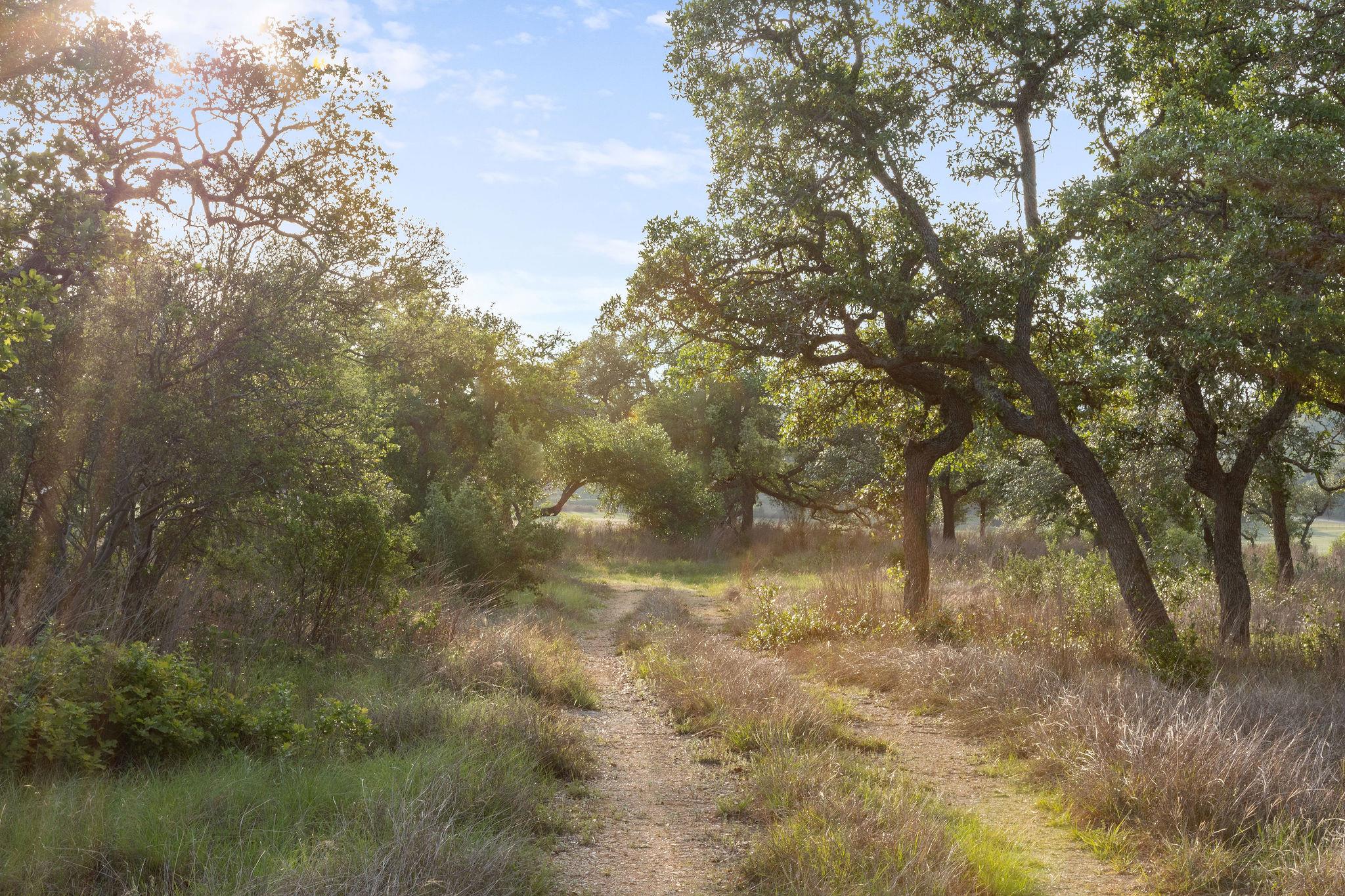 103-205 Mount Gainor Road Dripping Springs TX 78620