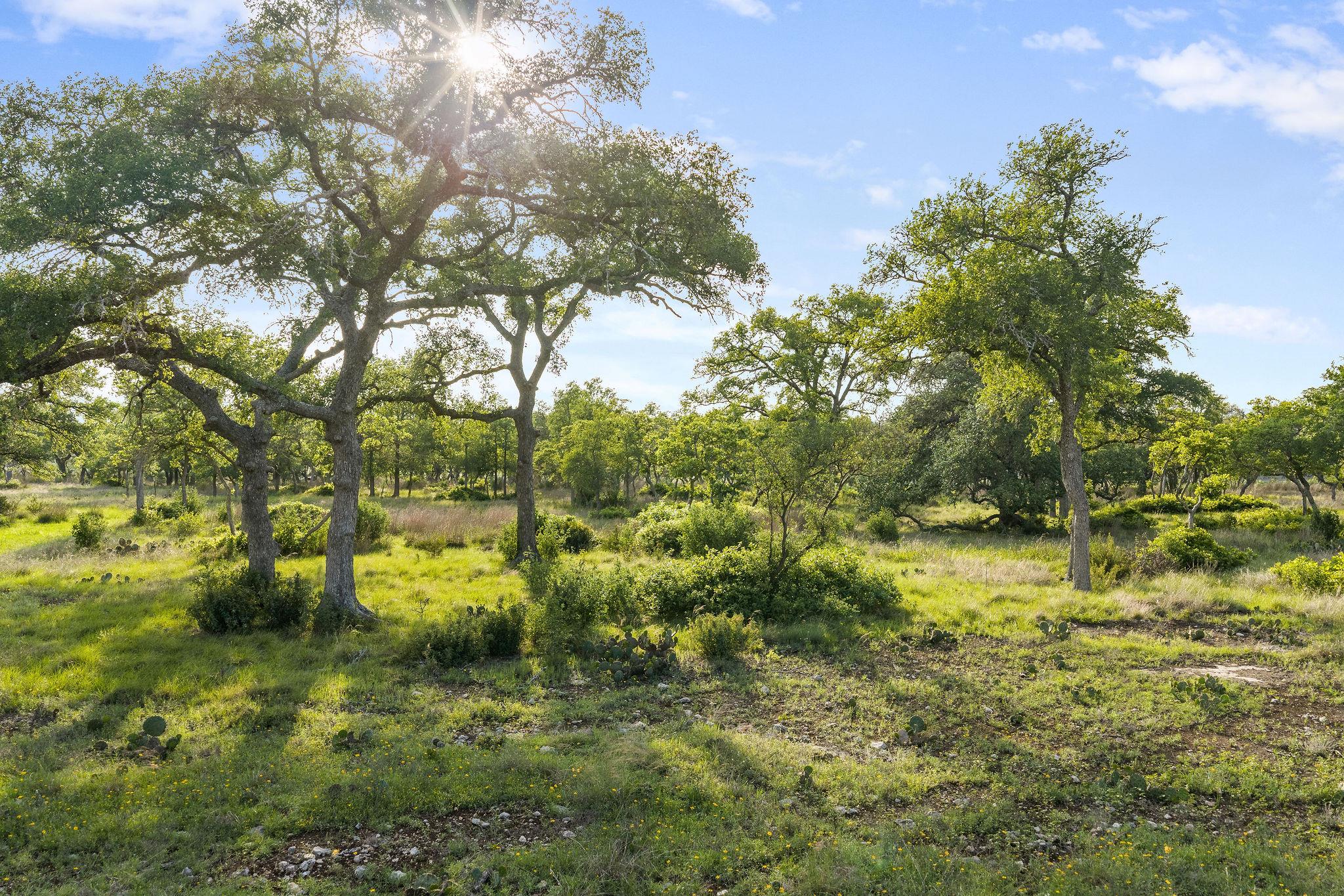 103-205 Mount Gainor Road Dripping Springs TX 78620