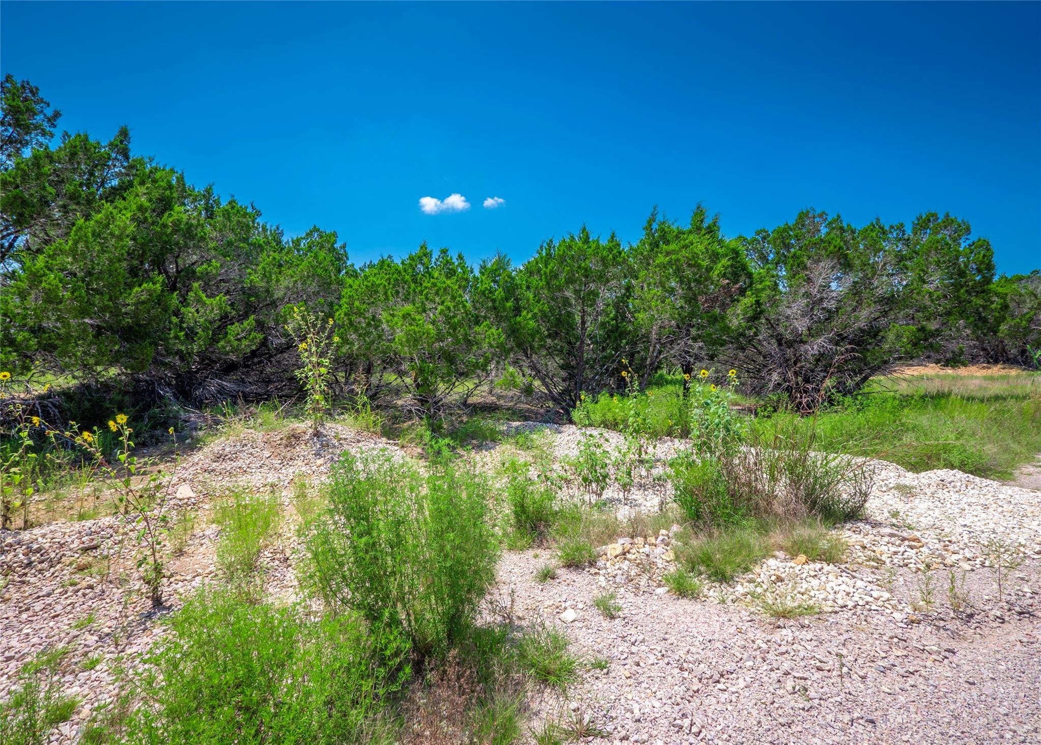 193 Garner Ranch Road Bertram TX 78605