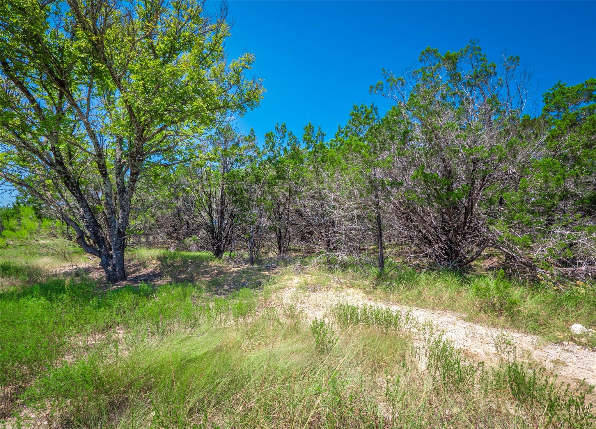 193 Garner Ranch Road Bertram TX 78605
