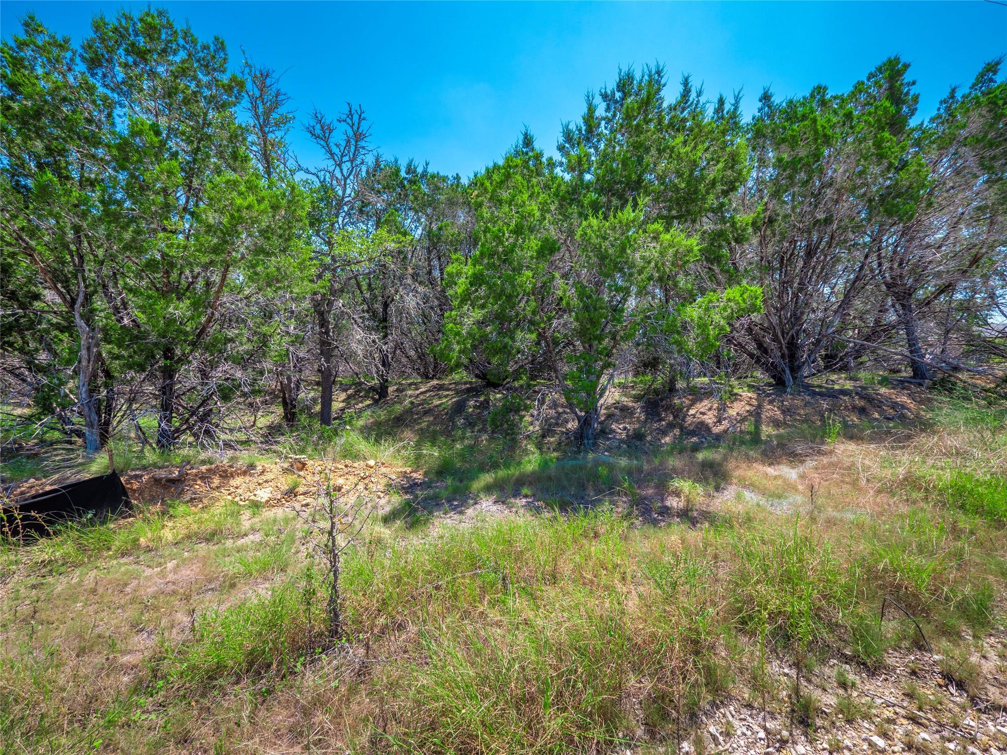 193 Garner Ranch Road Bertram TX 78605