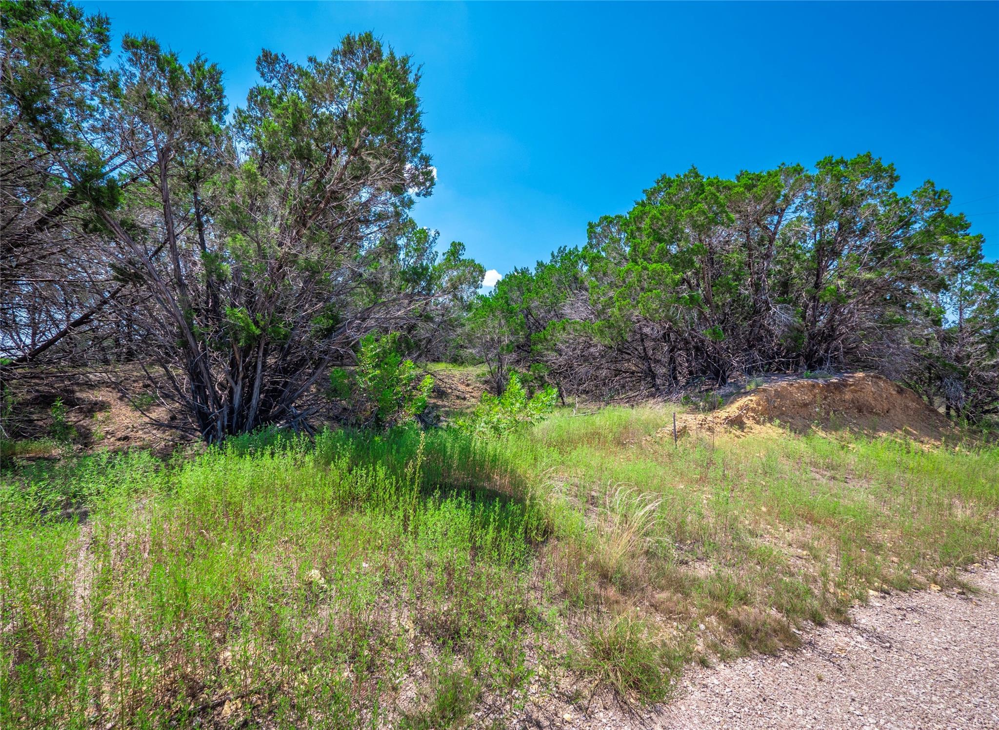 193 Garner Ranch Road Bertram TX 78605