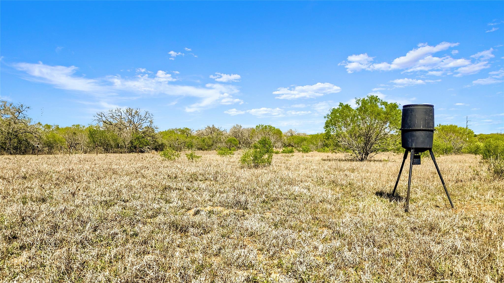 0 Fox Trotter Road Seguin TX 78155