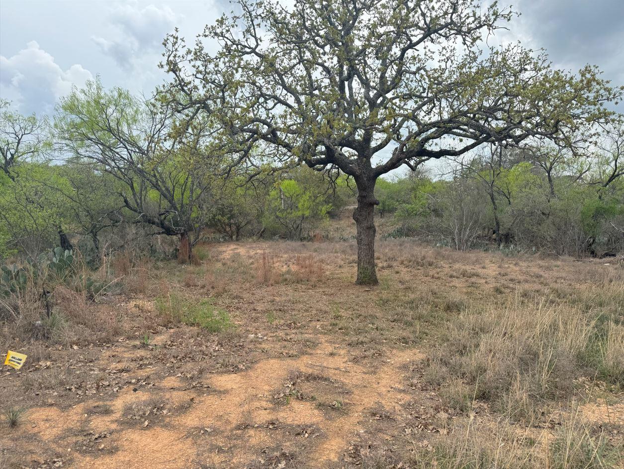 Lot 489 Oakhill Drive Granite Shoals TX 78654