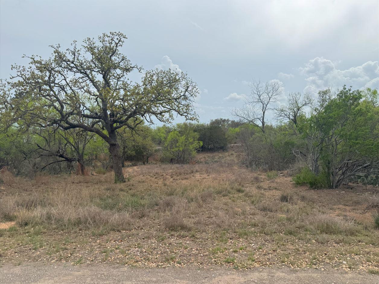Lot 489 Oakhill Drive Granite Shoals TX 78654