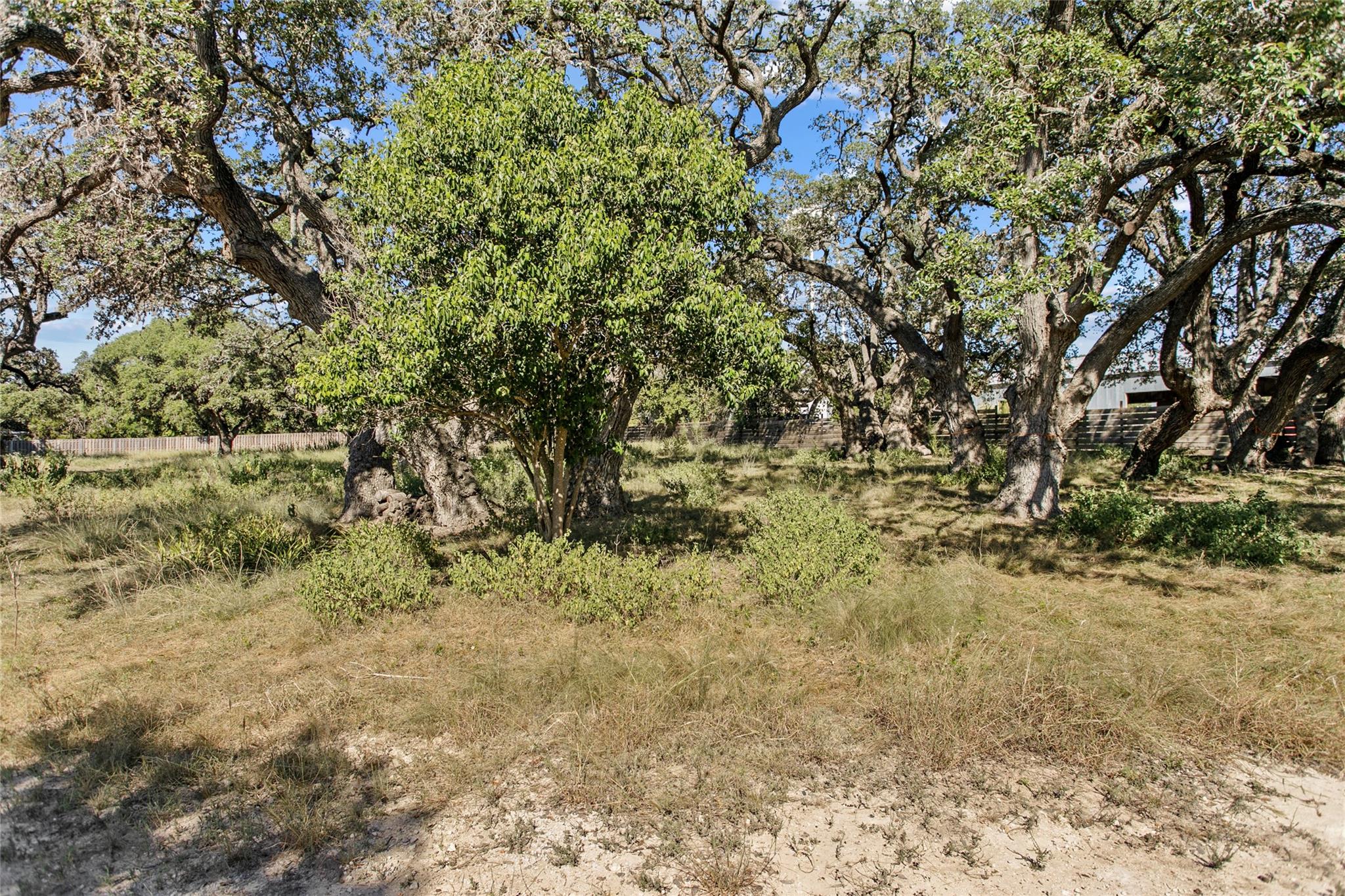 1400 Greenlawn Parkway Blanco TX 78606