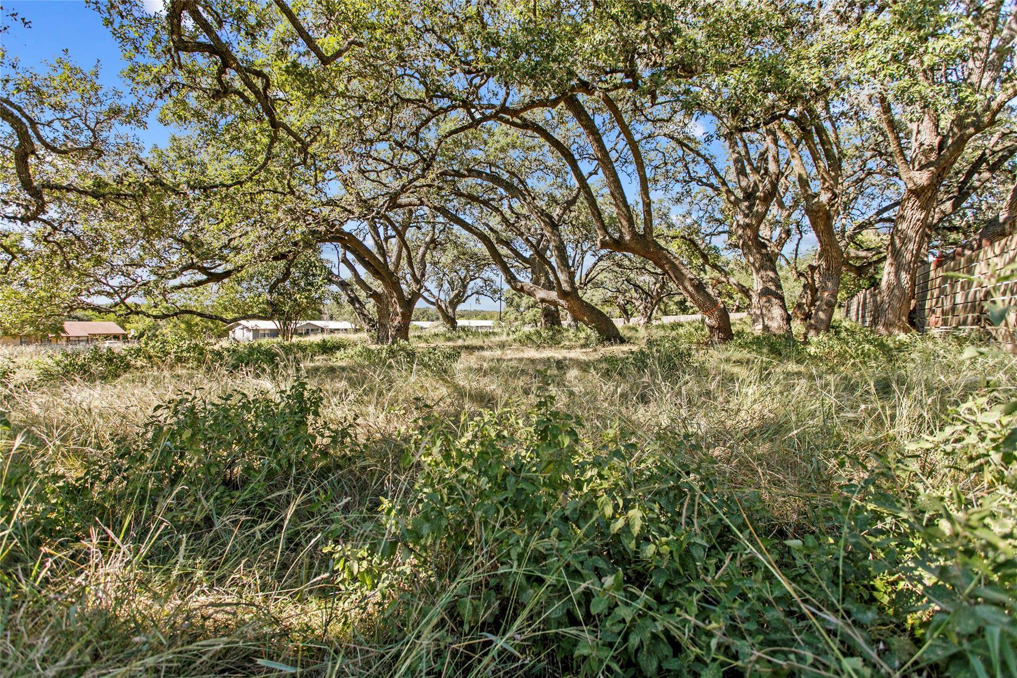 1400 Greenlawn Parkway Blanco TX 78606