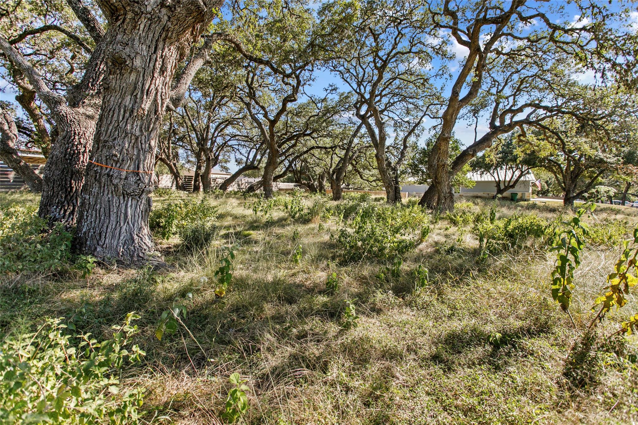 1400 Greenlawn Parkway Blanco TX 78606